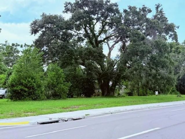 a view of road and trees