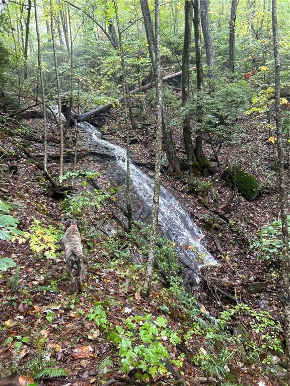 1298 Cold Stream Trail Jasper, GA 30143 - Photo 2 of 57