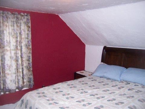 533 Crooks Street Belding, MI 48809 - Photo 9 of 23 100_3724