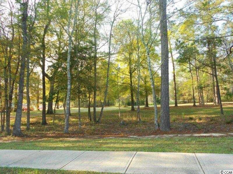 2080 Timmerman Road Myrtle Beach, SC 29588 - Photo 2 of 13 Gallery Image 2