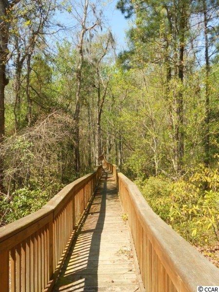2080 Timmerman Road Myrtle Beach, SC 29588 - Photo 5 of 13 Gallery Image 5