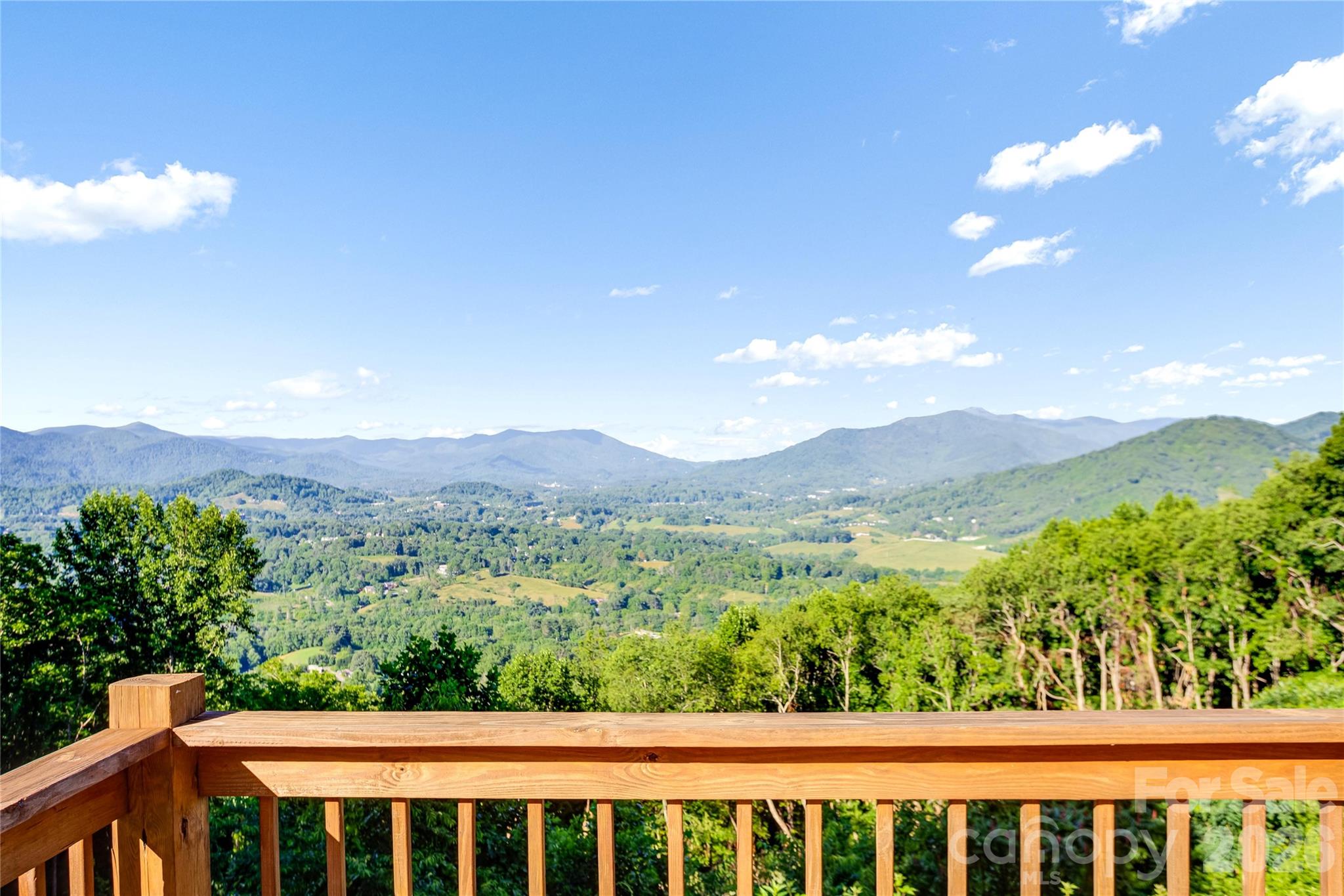 1087 Brigadoon Drive Clyde, NC 28721 - Photo 24 of 42 a view of a large trees with a mountain in the background