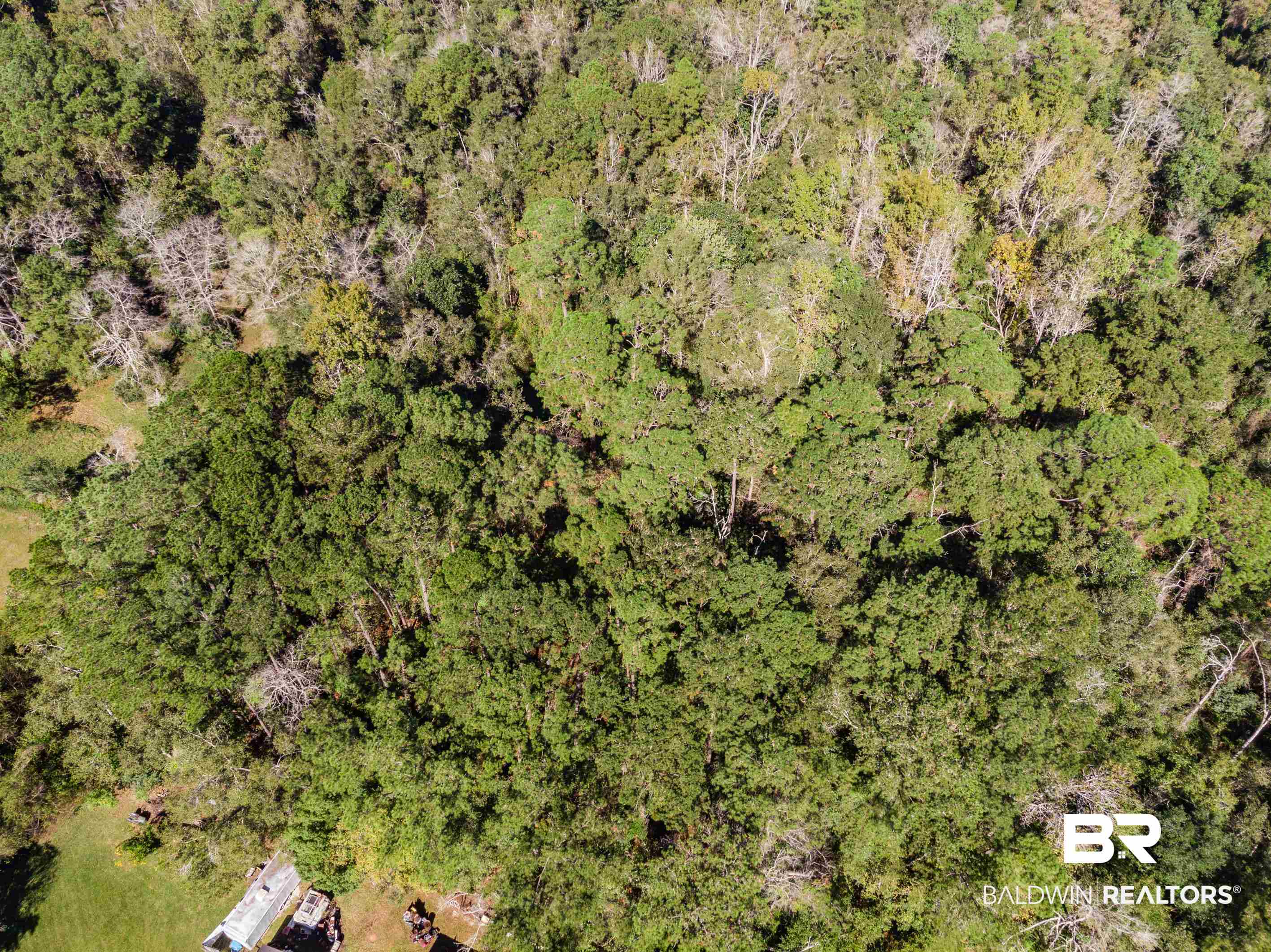 0 Rosie Road Mobile, AL 36693 - Photo 7 of 7