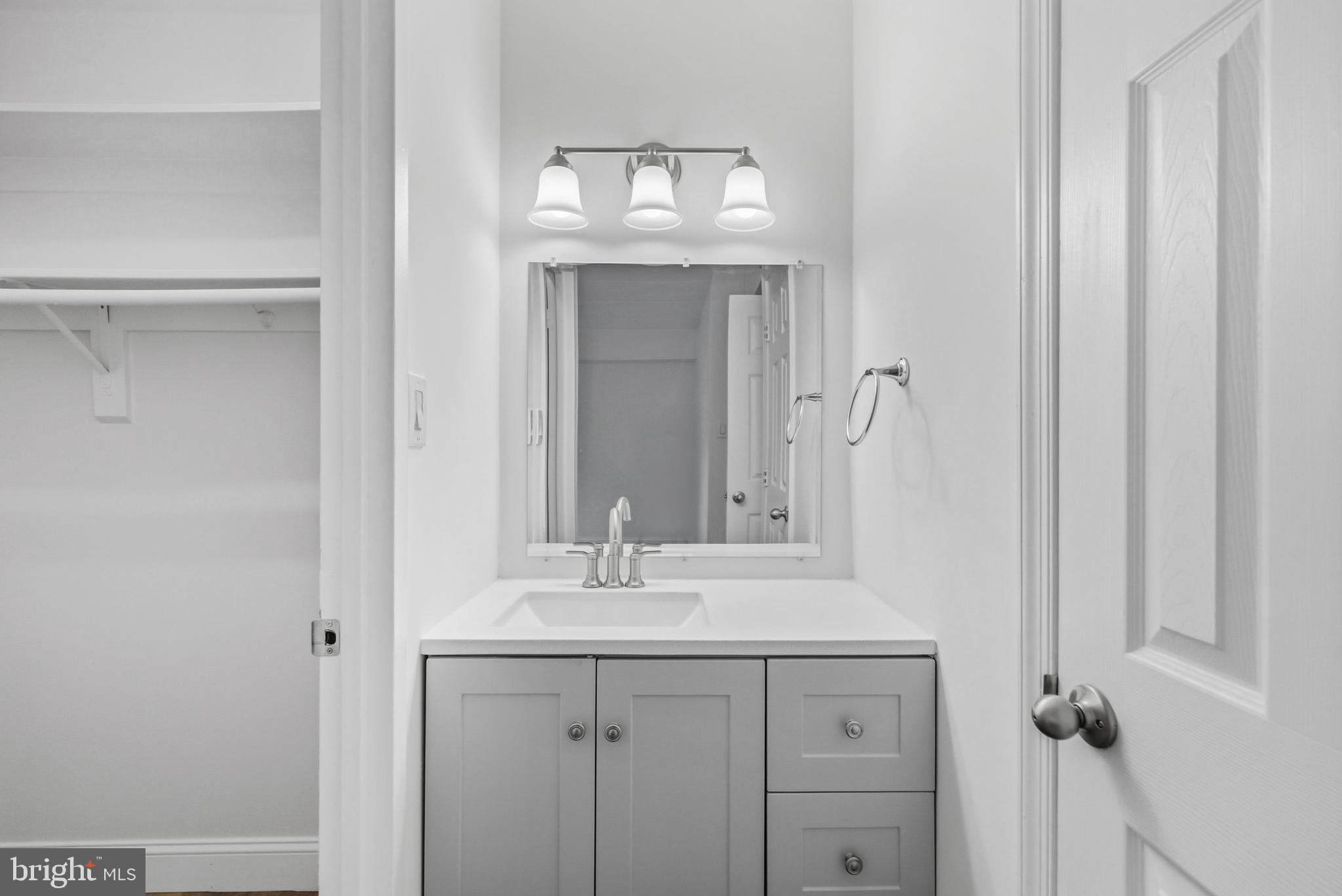 2316 Freetown Court, Unit 10/1B Reston, VA 20191 - Photo 17 of 36 Master Bedroom Private Vanity