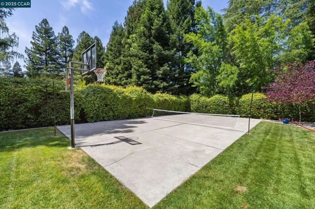 a view of a backyard