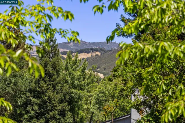 a view of a flower in a garden