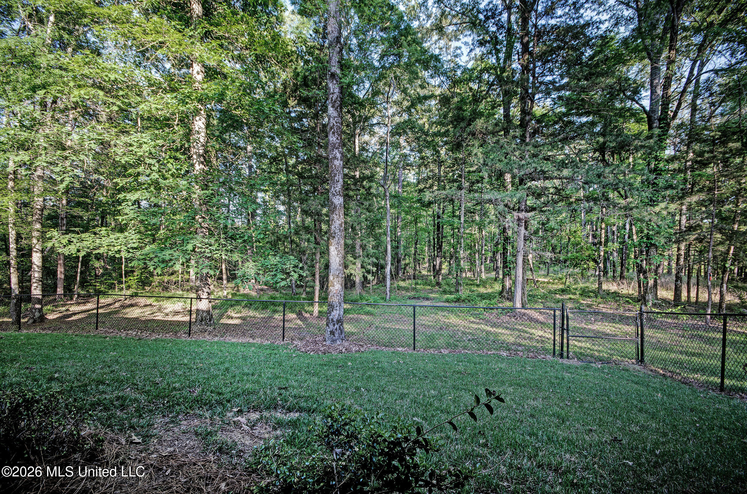 2964 Highway 471 Brandon, MS 39047 - Photo 13 of 62 IMGP6207_8_9