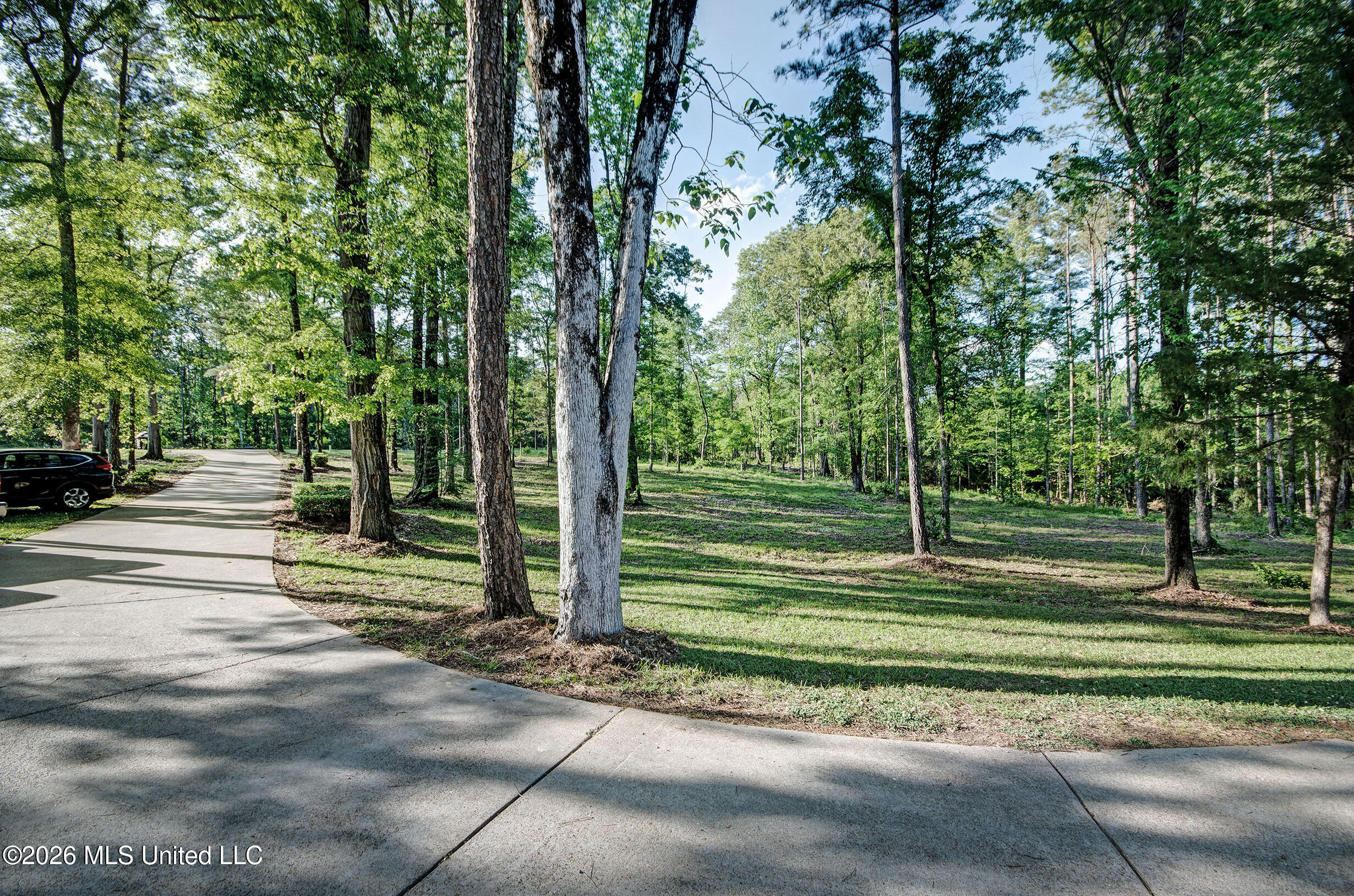2964 Highway 471 Brandon, MS 39047 - Photo 2 of 62 IMGP6174_5_6