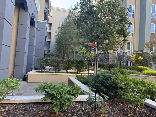 a view of flower garden in front of house