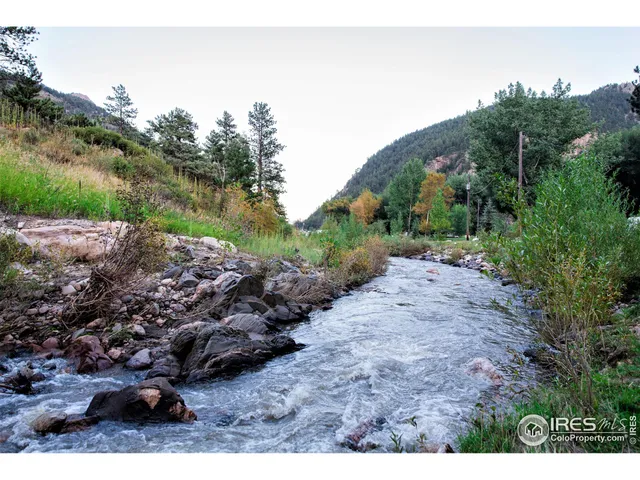 a view of a large yard with green space