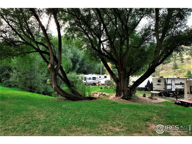 a view of a backyard with large trees
