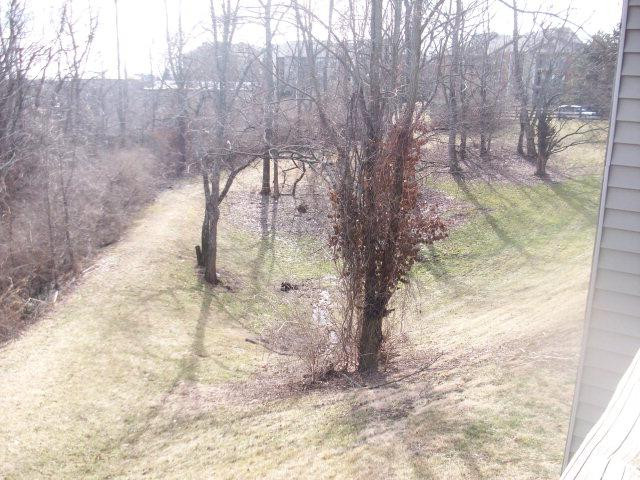 0 Redding Road Lexington, KY 40517 - Photo 15 of 21 Photo 15