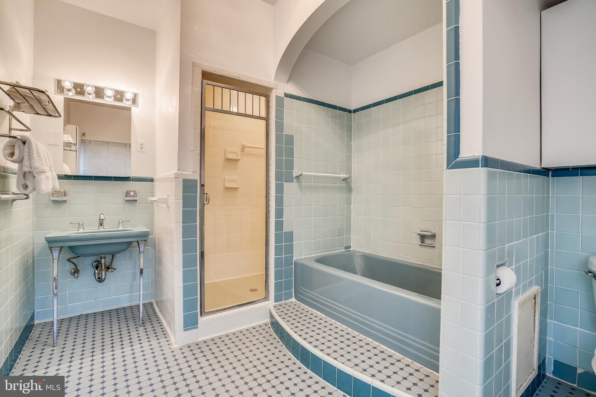 9101 Crosby Road Silver Spring, MD 20910 - Photo 32 of 89 Owner's Bath