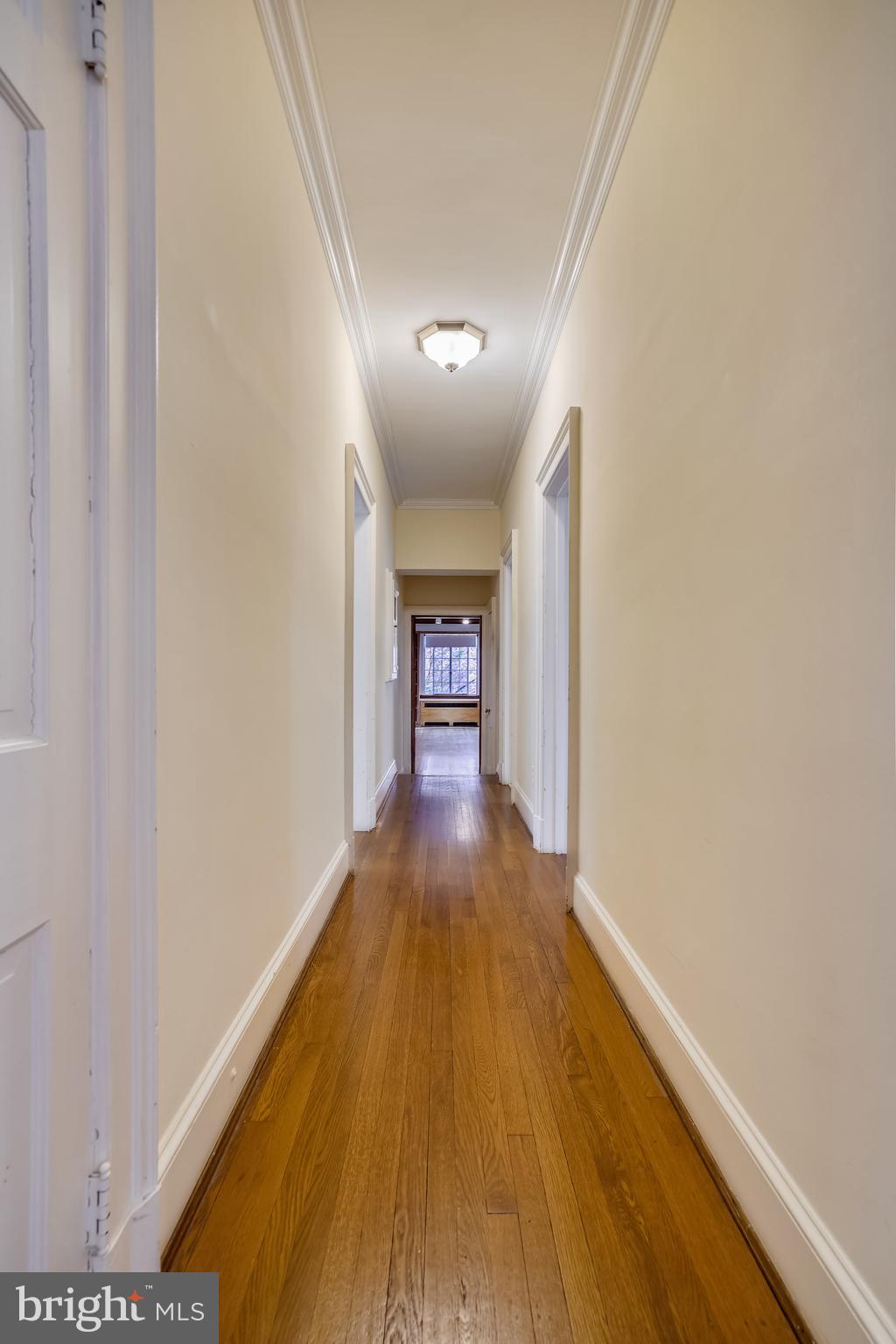 9101 Crosby Road Silver Spring, MD 20910 - Photo 36 of 89 Hallway