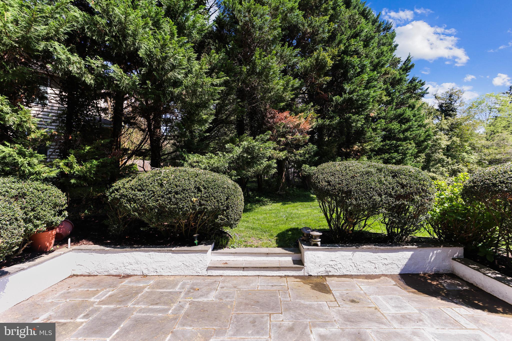 9101 Crosby Road Silver Spring, MD 20910 - Photo 68 of 89 Rear Patio
