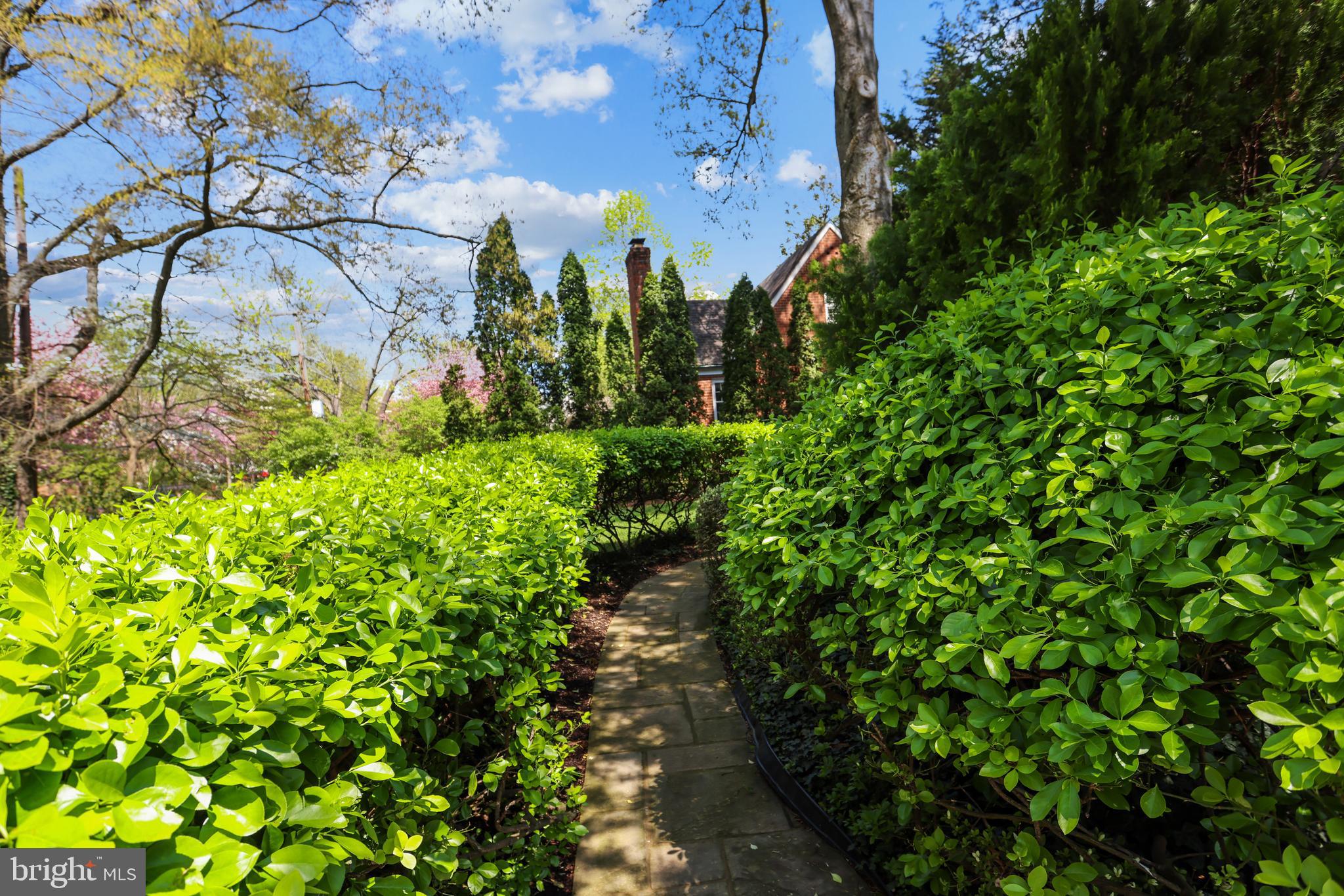 9101 Crosby Road Silver Spring, MD 20910 - Photo 73 of 89 Stone walkways through gardens