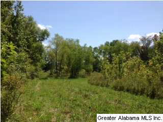 25 Rd Vincent Al Vincent, AL 35178 - Photo 8 of 22