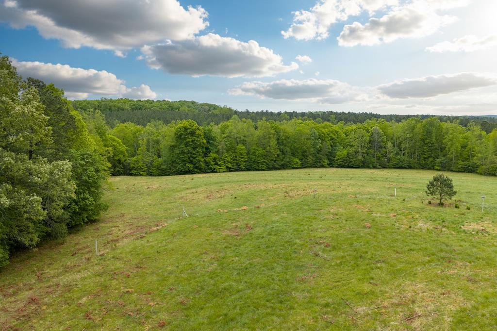 3537 Hardy Road Keysville, VA 23947 - Photo 61 of 80 Gallery Image 61