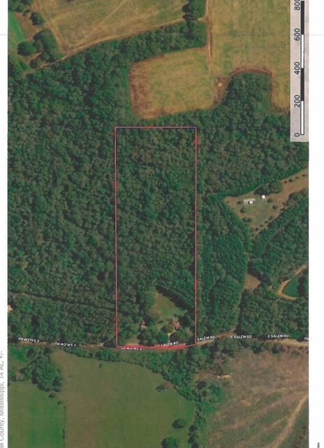 265 East Salem Road Tylertown, MS 39667 - Photo 18 of 19 Photo 18