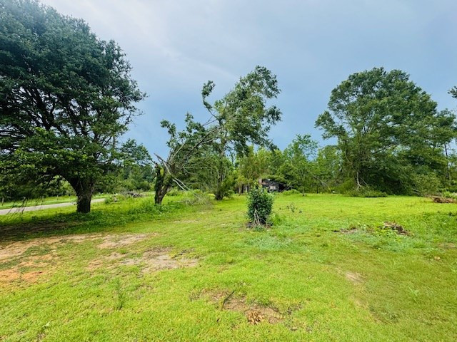 265 East Salem Road Tylertown, MS 39667 - Photo 2 of 19 Photo 2