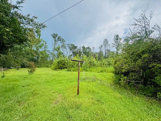 265 East Salem Road Tylertown, MS 39667 - Photo 5 of 19 Photo 5