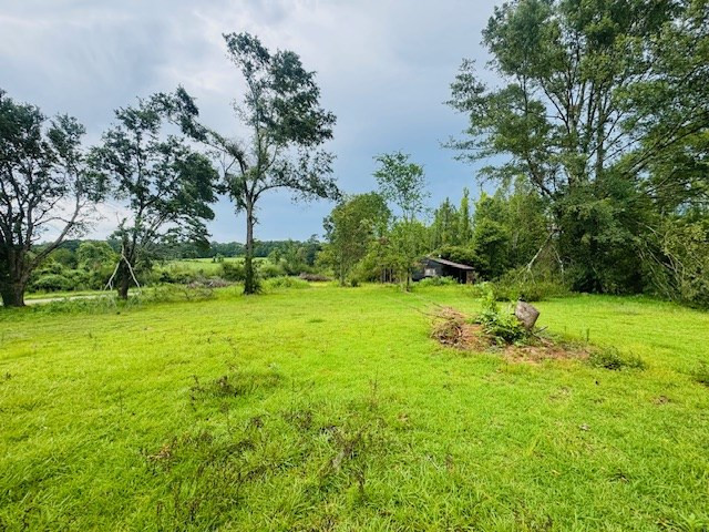 265 East Salem Road Tylertown, MS 39667 - Photo 6 of 19 Photo 6