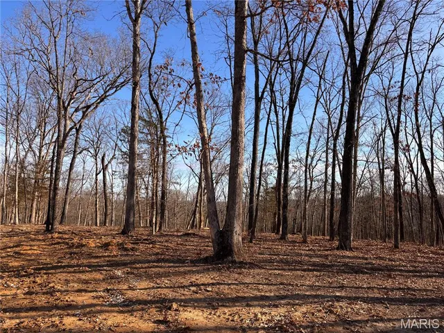 $105,000 | Lot 2 Klausmeier Trail, Wright City, MO 63390