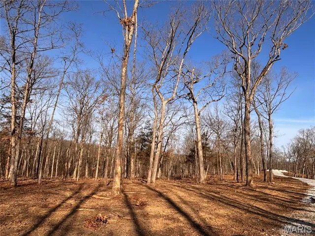 $105,000 | Lot 2 Klausmeier Trail, Wright City, MO 63390