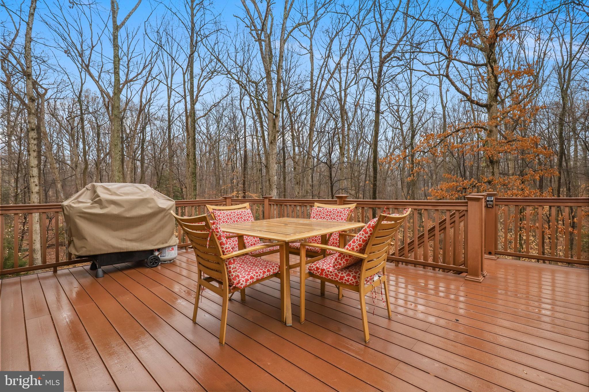 8491 Magic Tree Court Springfield, VA 22153 - Photo 36 of 53 Gallery Image 36