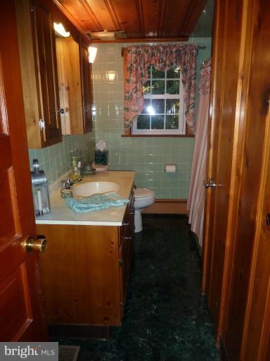 19219 Swinging Bridge Road Boonsboro, MD 21713 - Photo 14 of 22 Bath