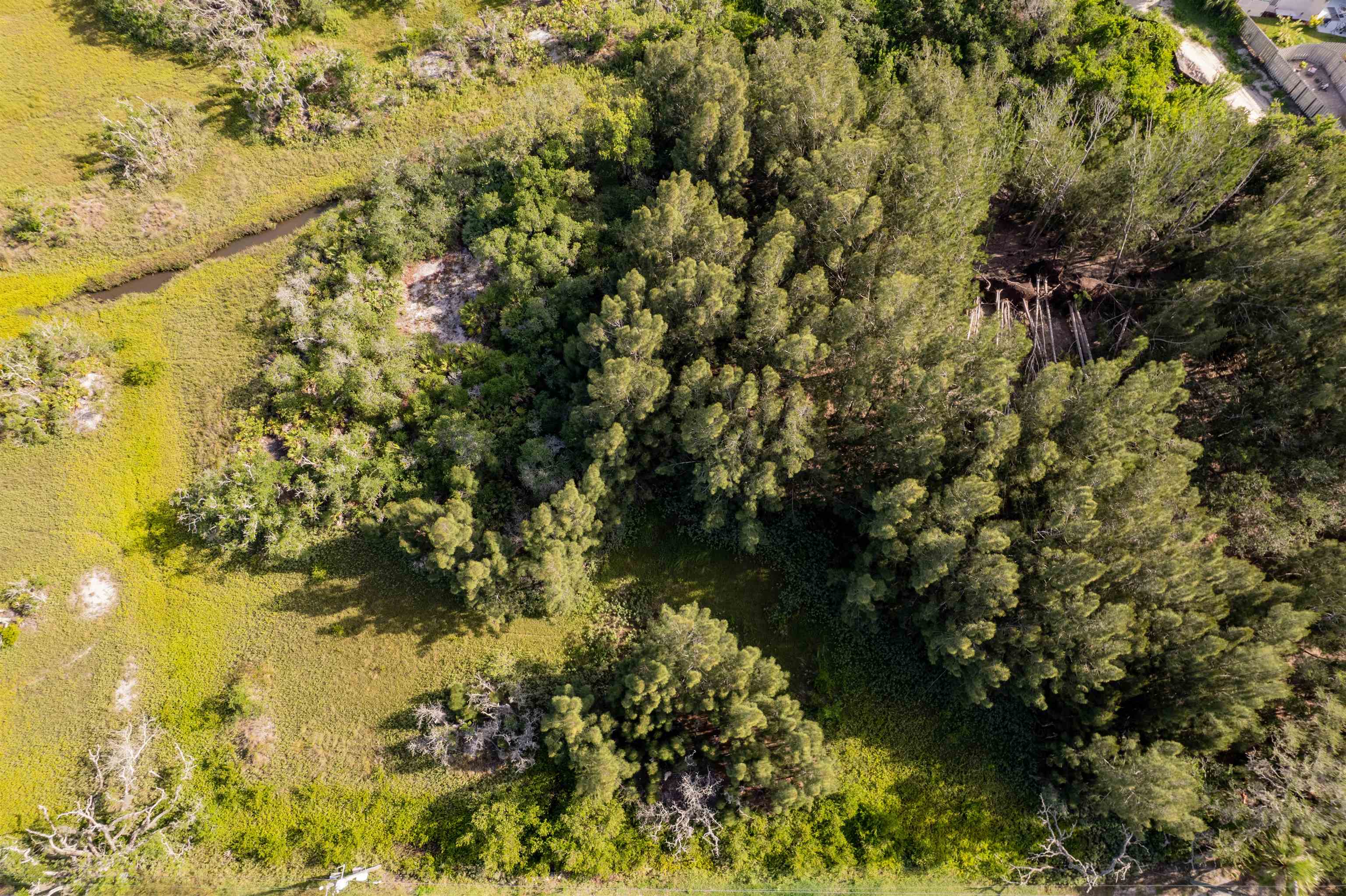0 Carcaba Road St. Augustine, FL 32084 - Photo 11 of 13 a view of a lake with a yard