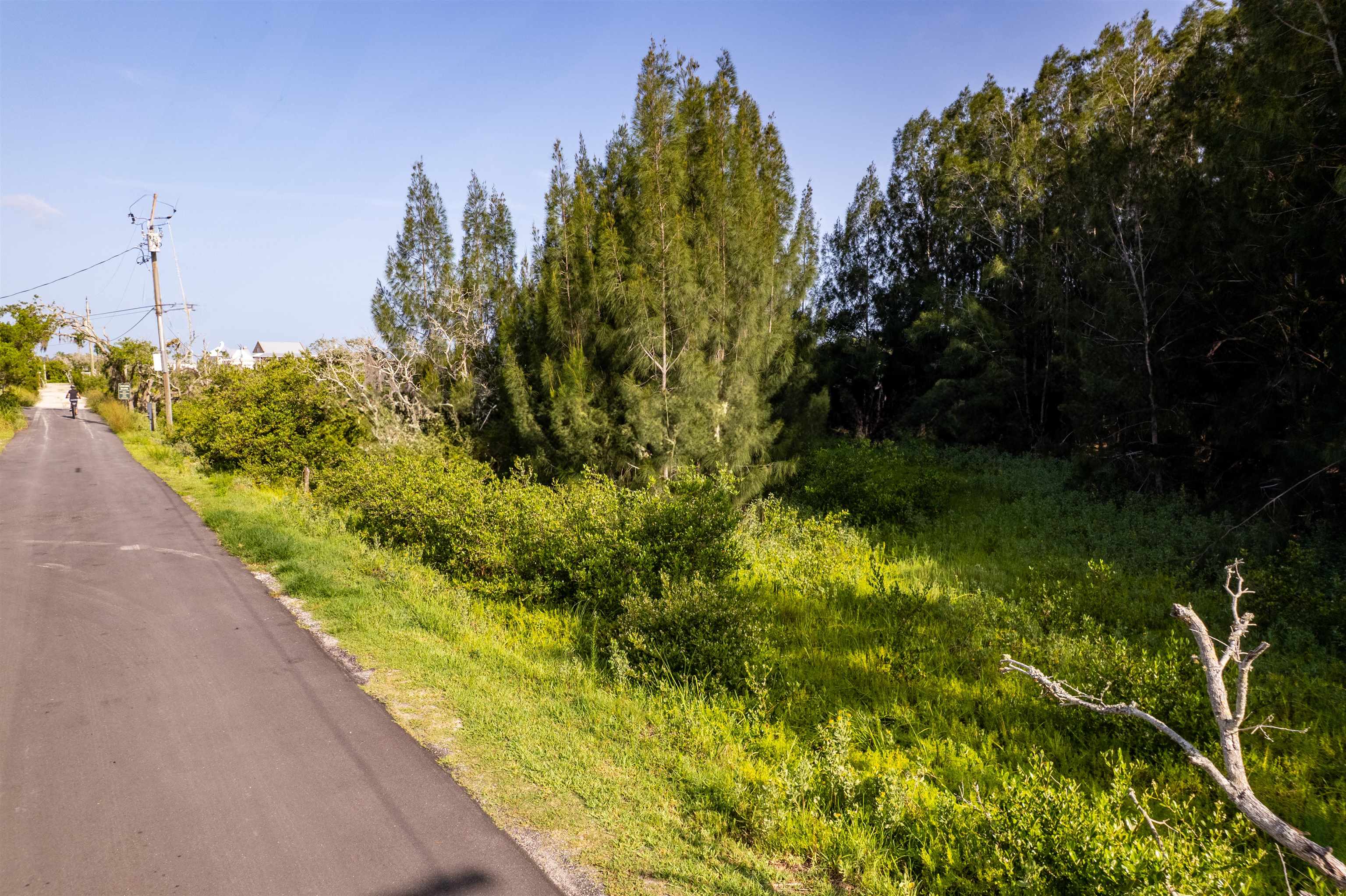 0 Carcaba Road St. Augustine, FL 32084 - Photo 9 of 13 a view of a garden