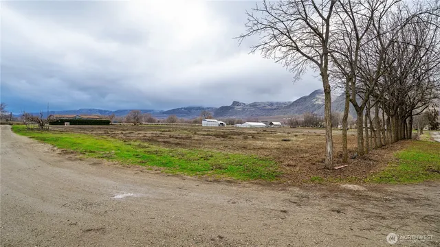 a view of a yard with an trees