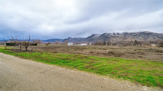 a view of a town with mountains in the background