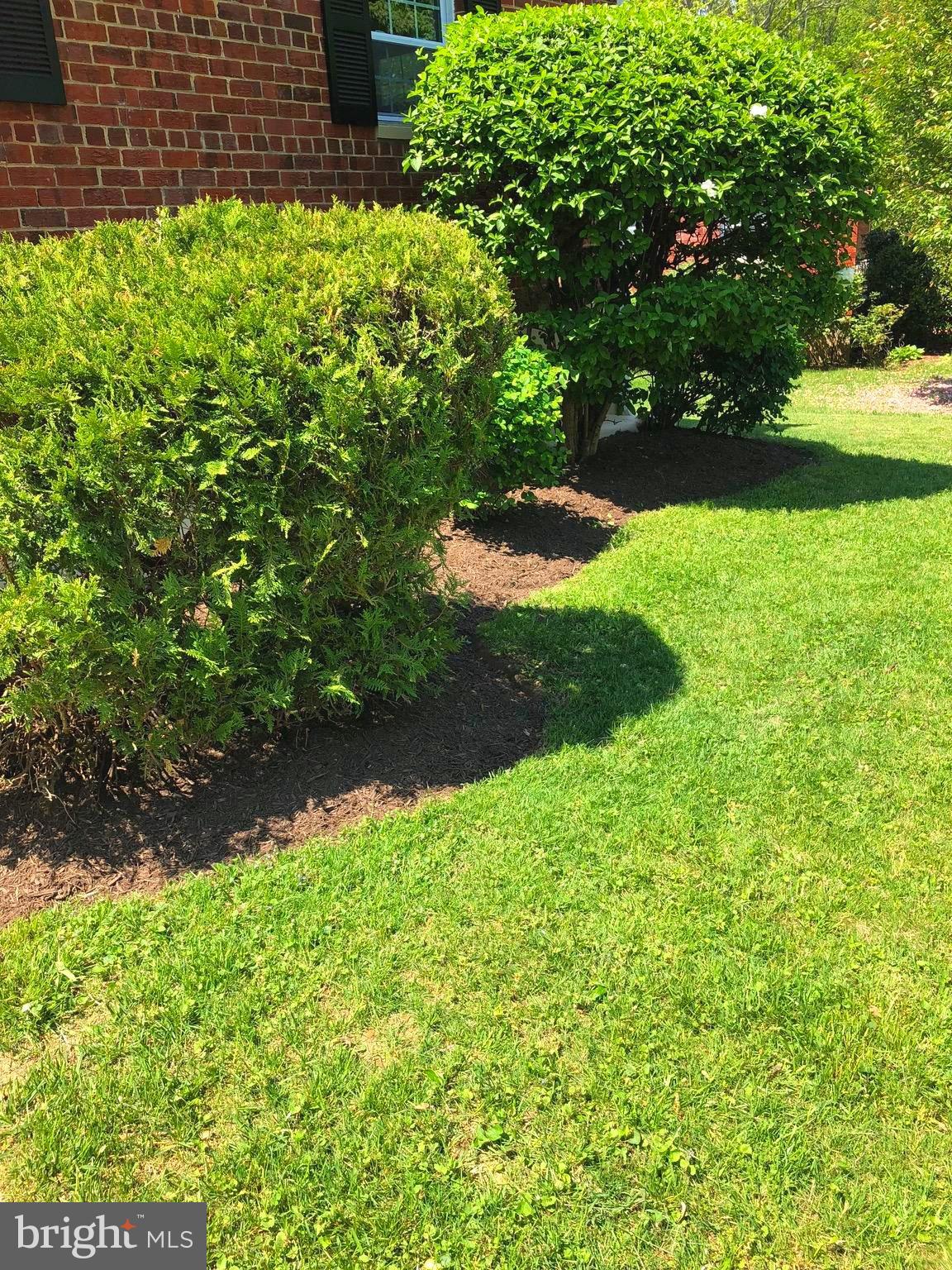 1002 Gabel Street Silver Spring, MD 20901 - Photo 26 of 30 Nicely Landscaped
