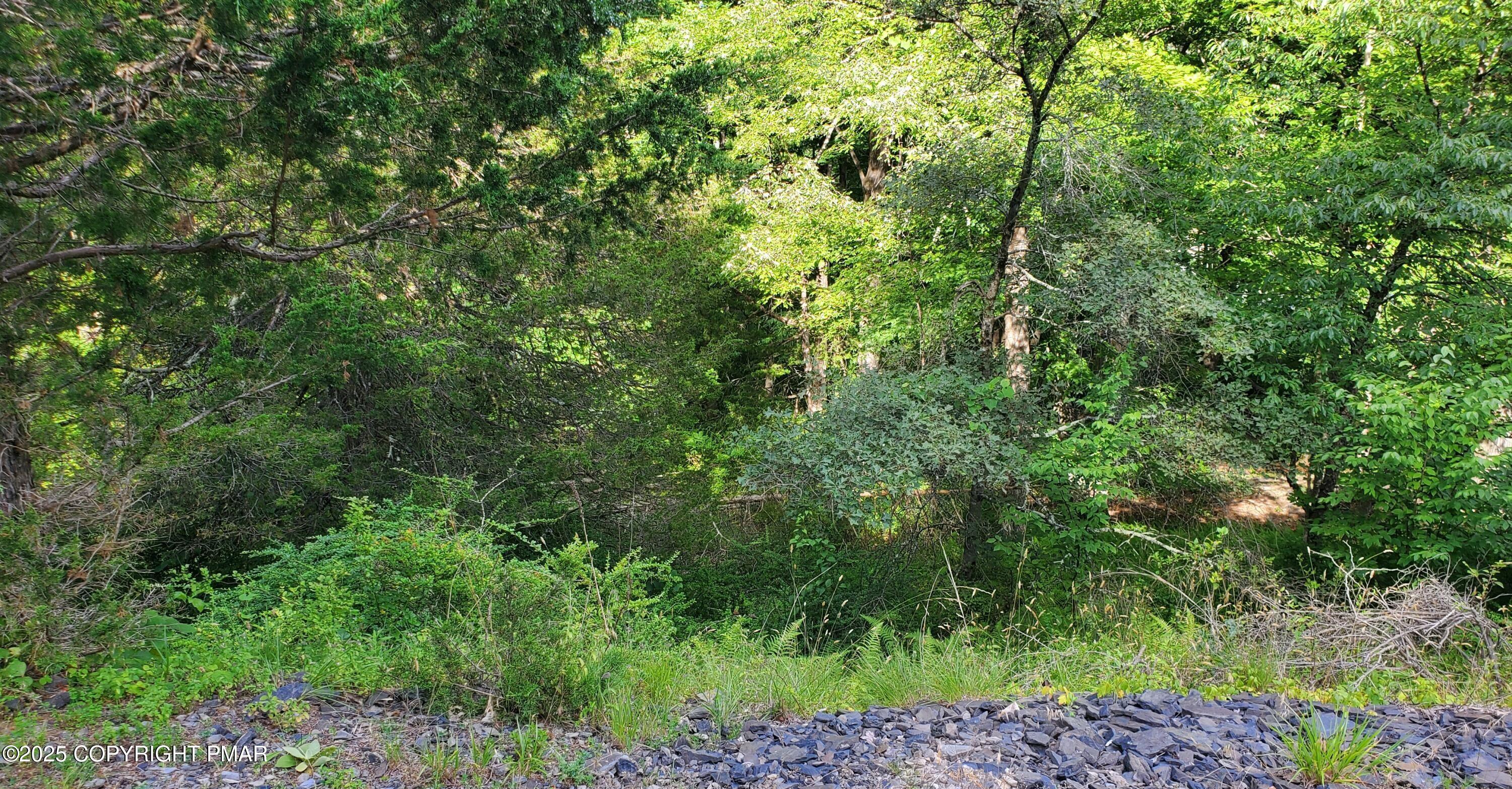 3428 Lancaster Drive Bushkill, PA 18324 - Photo 2 of 5 a view of a lush green forest