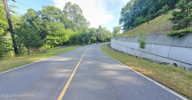 a view of a backyard with large trees