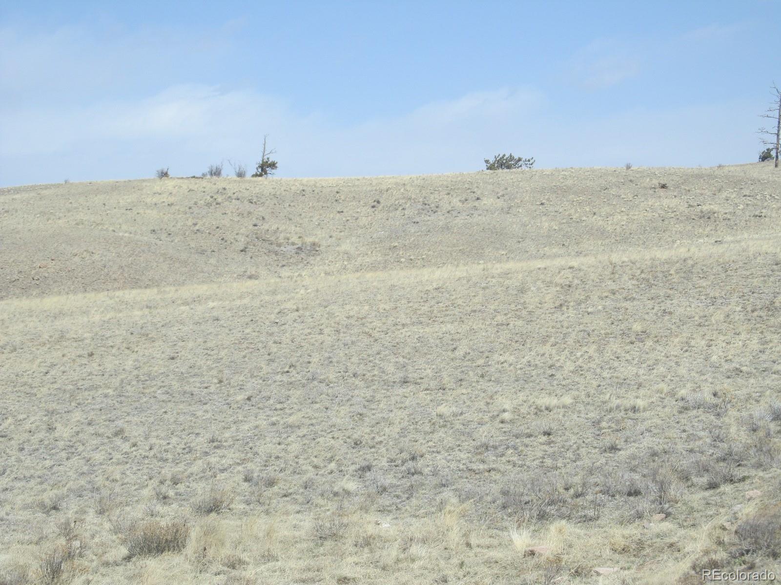 4367 Anadarko Road Hartsel, CO 80449 - Photo 3 of 6 Gallery Image 3