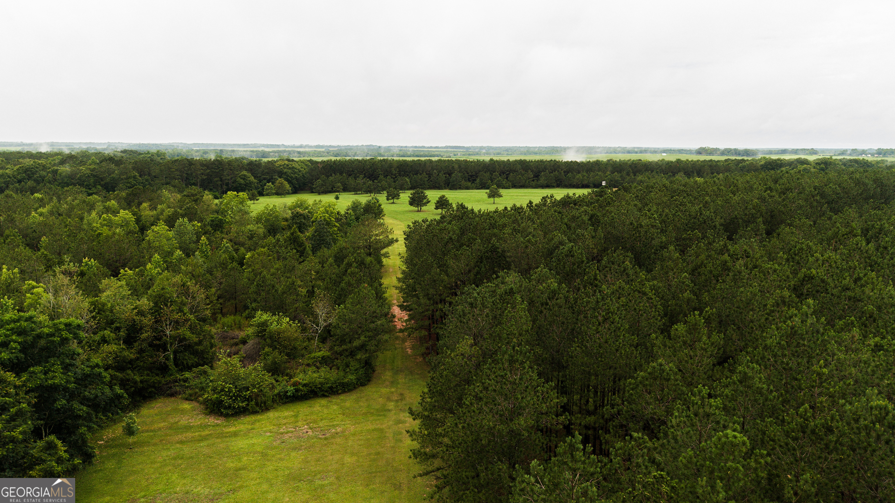 990 Highway 49 Americus, GA 31719 - Photo 98 of 121