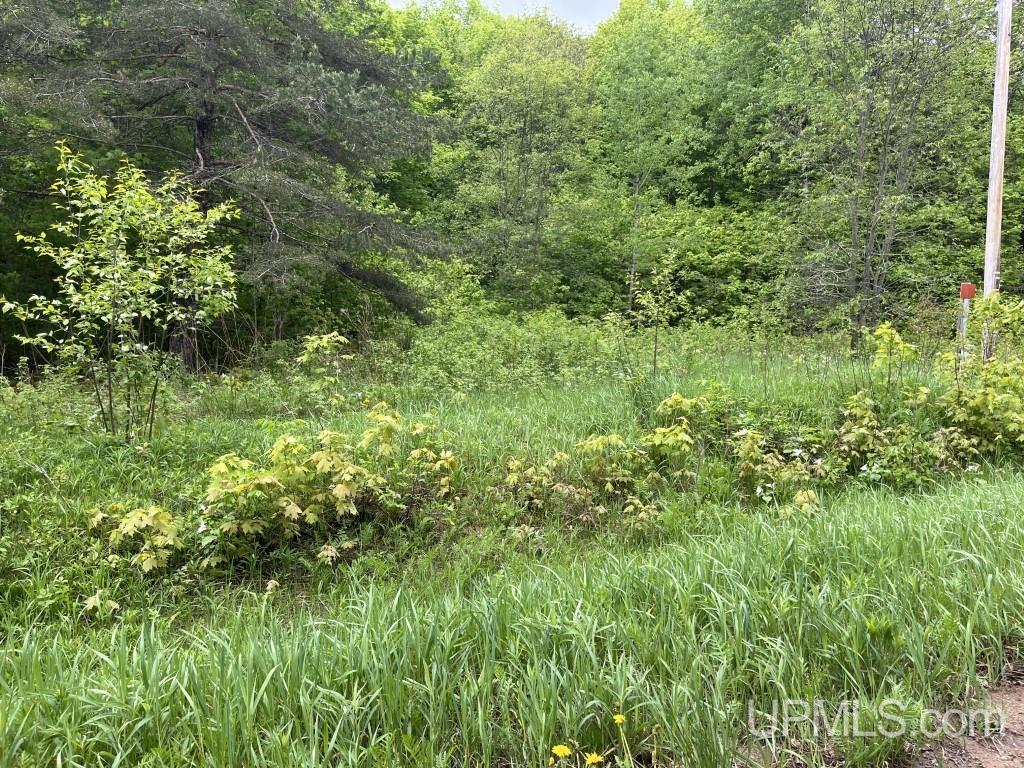 Tbd Tbd 26th Road Chatham, MI 49816 - Photo 1 of 15