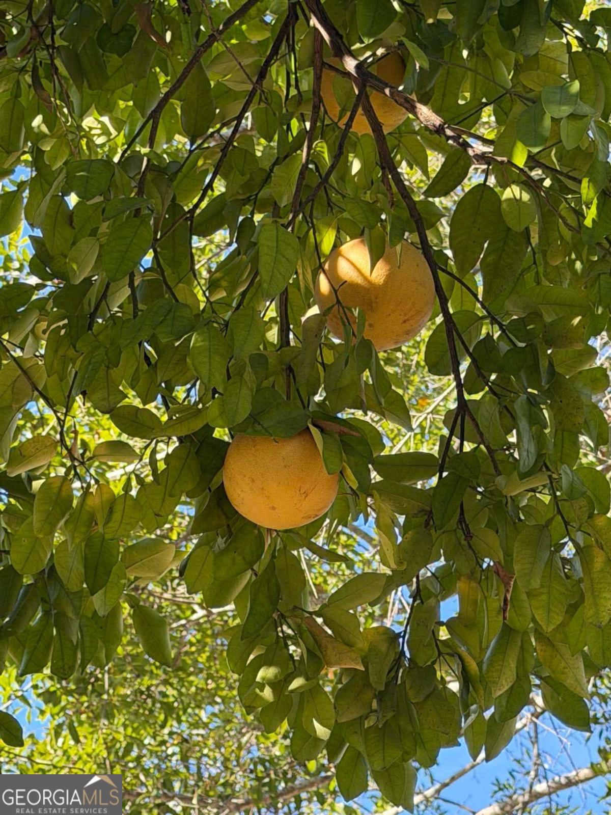 1208 Margaret Street Waycross, GA 31503 - Photo 2 of 29