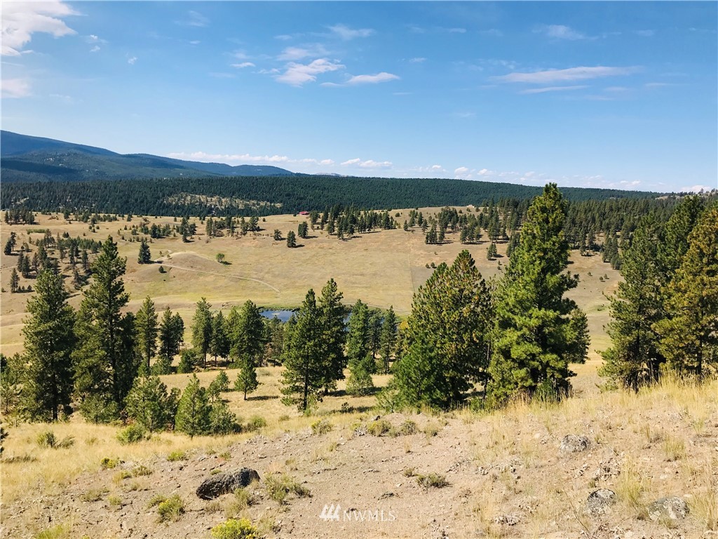 -tbd Sqove Road Wauconda, WA 98859 - Photo 22 of 33 a view of lake