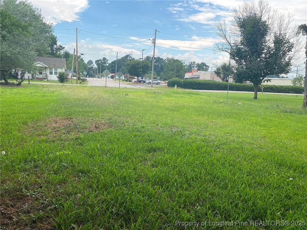 604 Middle Street Lumberton, NC 28358 - Photo 5 of 6 a backyard of a house with lots of green space