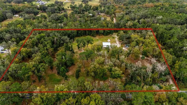 a picture of flowers