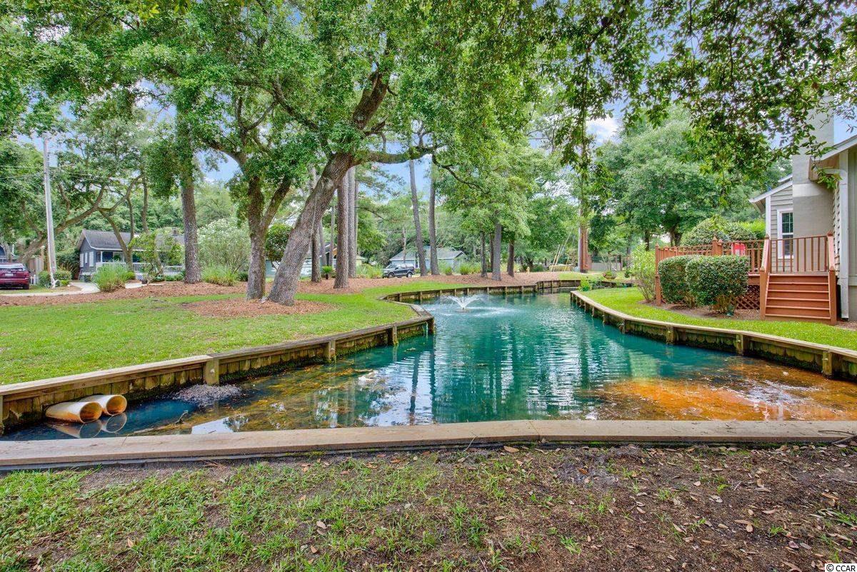 4840 Moss Creek Loop, Unit 63 Murrells Inlet, SC 29576 - Photo 23 of 28