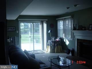 309 Flint Road Langhorne, PA 19047 - Photo 4 of 6 Gallery Image 4