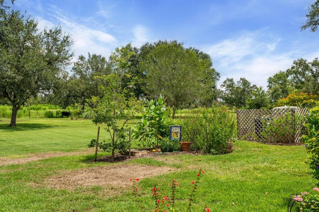 1229 Palm View Road Sarasota, FL 34240 - Photo 51 of 64