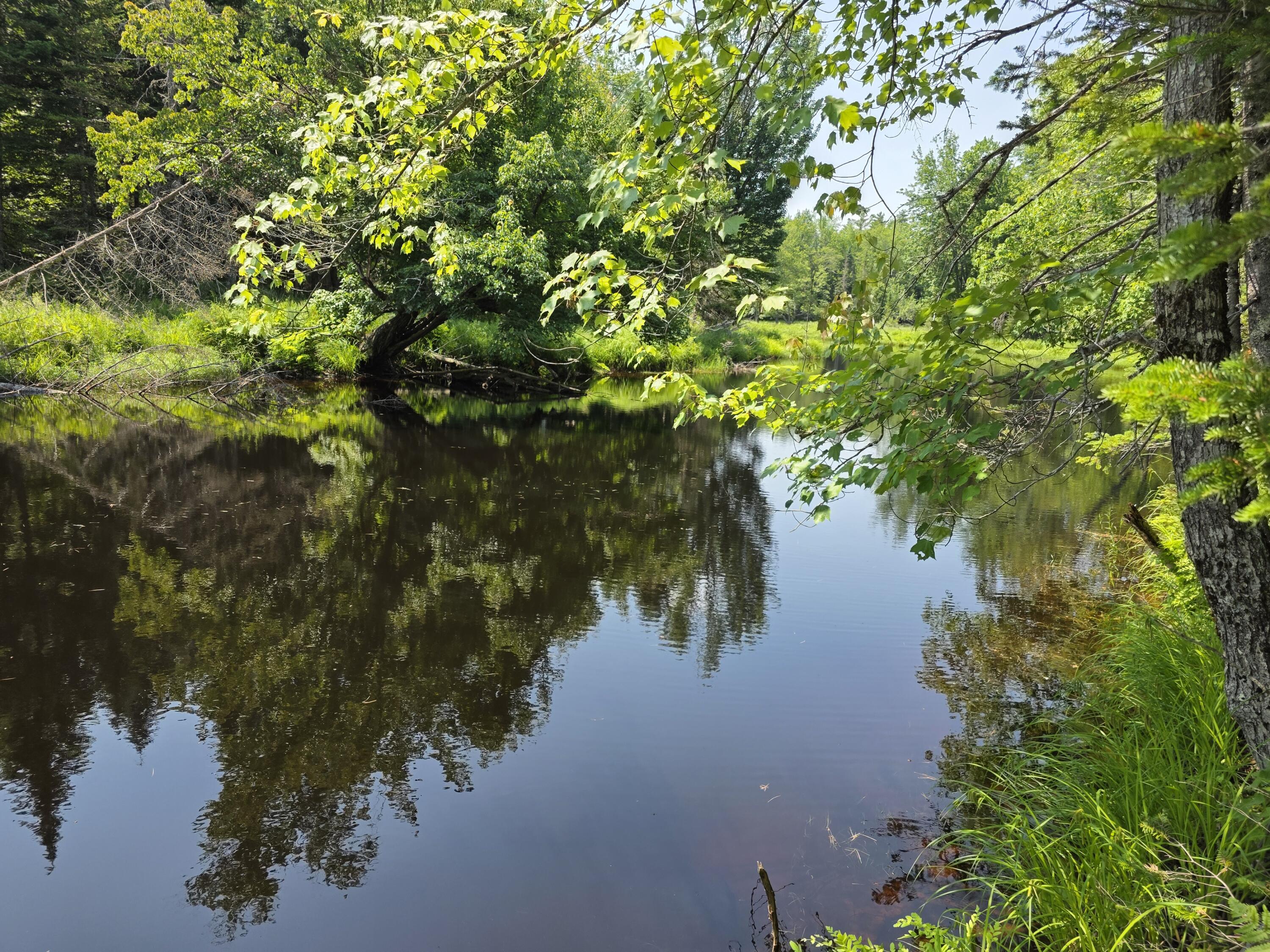 0 Brown Road Searsmont, ME 04973 - Photo 11 of 14 1000033537
