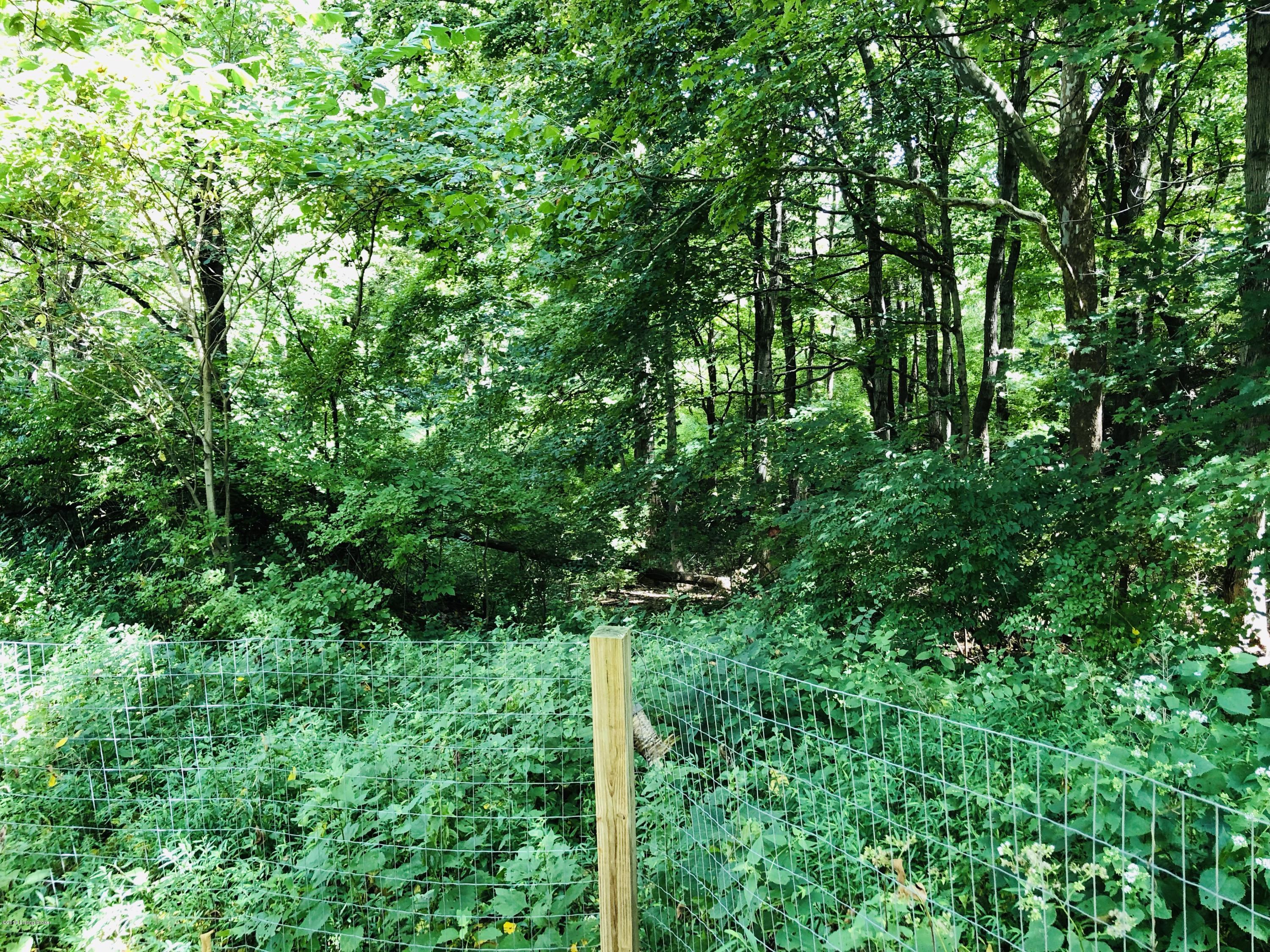 128 Windy Ridge Road Bedford, KY 40006 - Photo 20 of 20 Wooded Area
