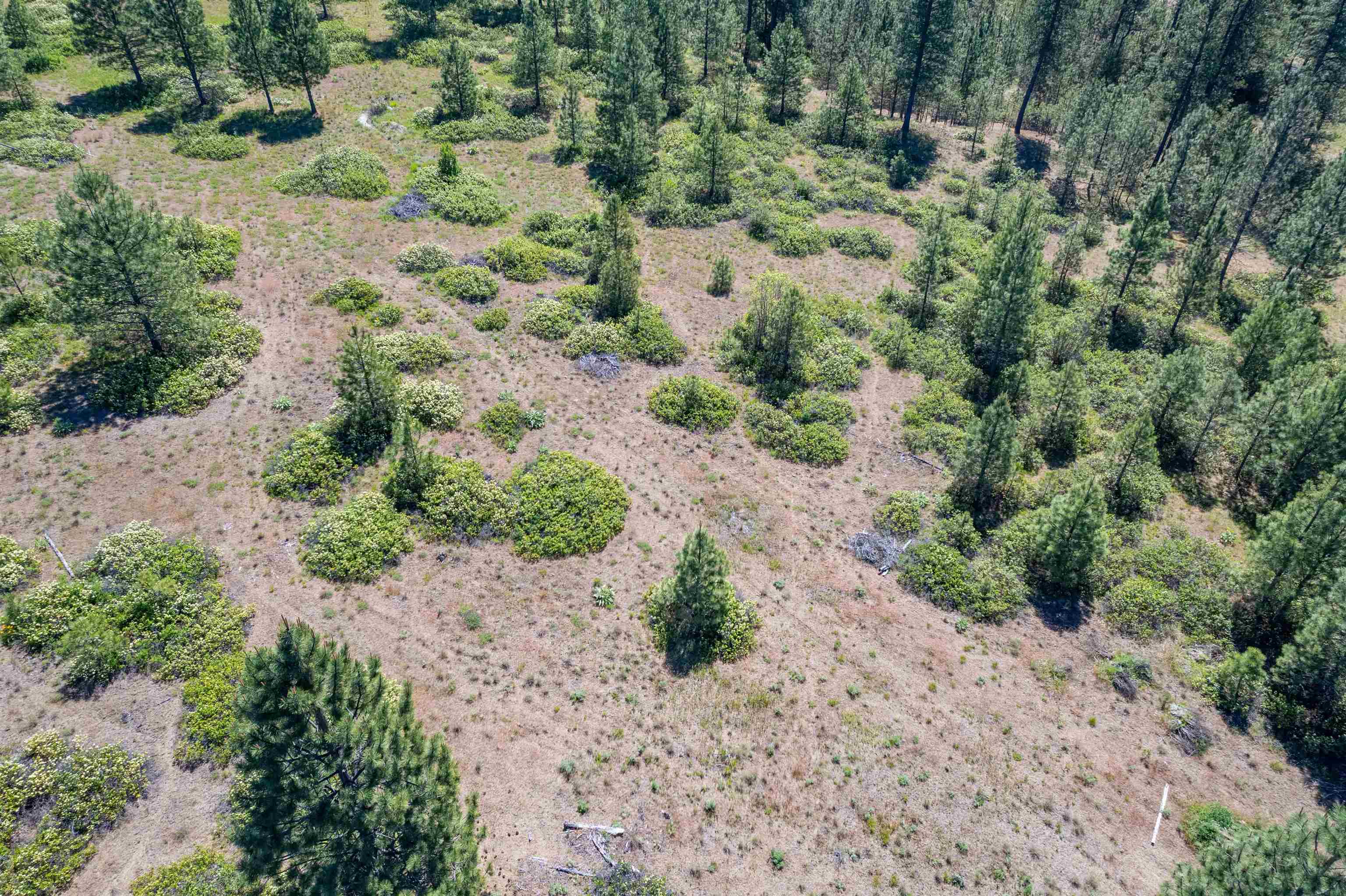 29-xxx North Hardesty Road Chattaroy, WA 99003 - Photo 20 of 40